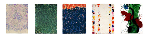 Sam Francis 5 Note Card Set + envelopes