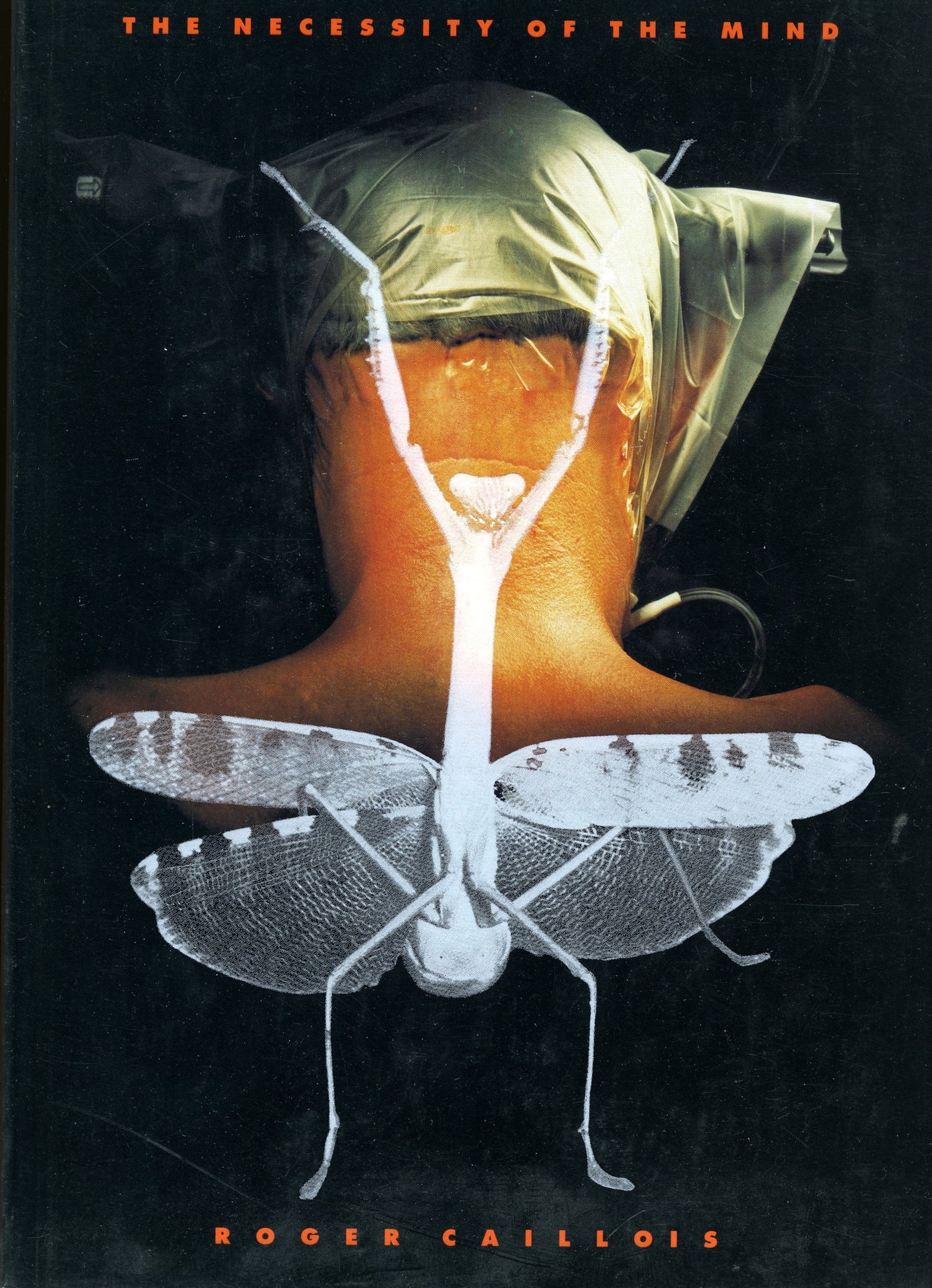 The Necessity of the Mind