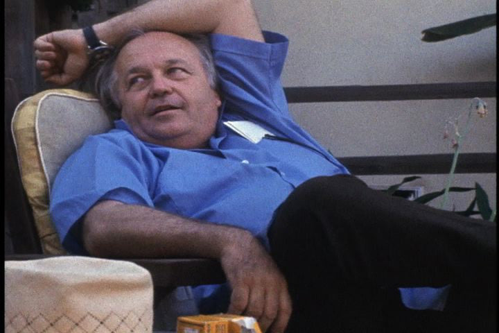 The Painter Sam Francis: a film by Jeffery Perkins