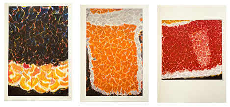 Sam Francis Notecard Boxed Set